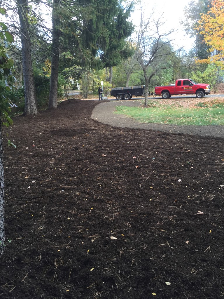 Tree And Brush Removal Busy Bee Landscaping Amherst MA, 01002