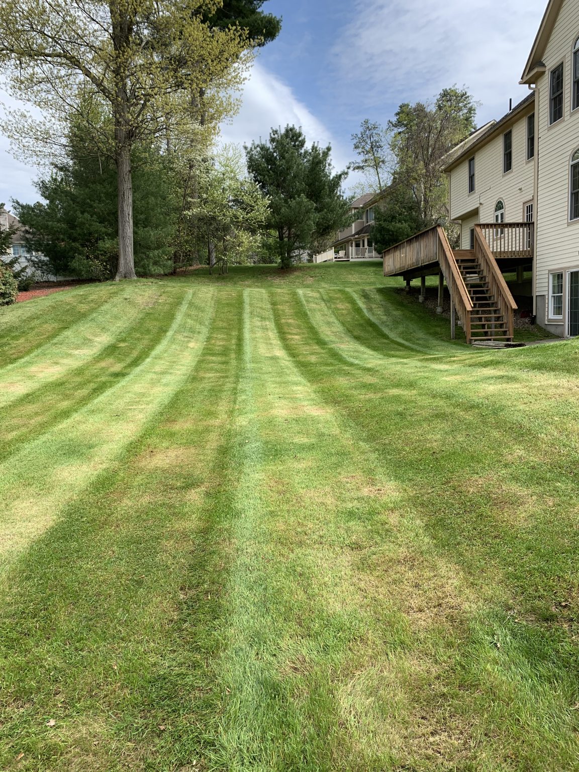 Lawn & Garden Care Busy Bee Landscaping Amherst MA, 01002