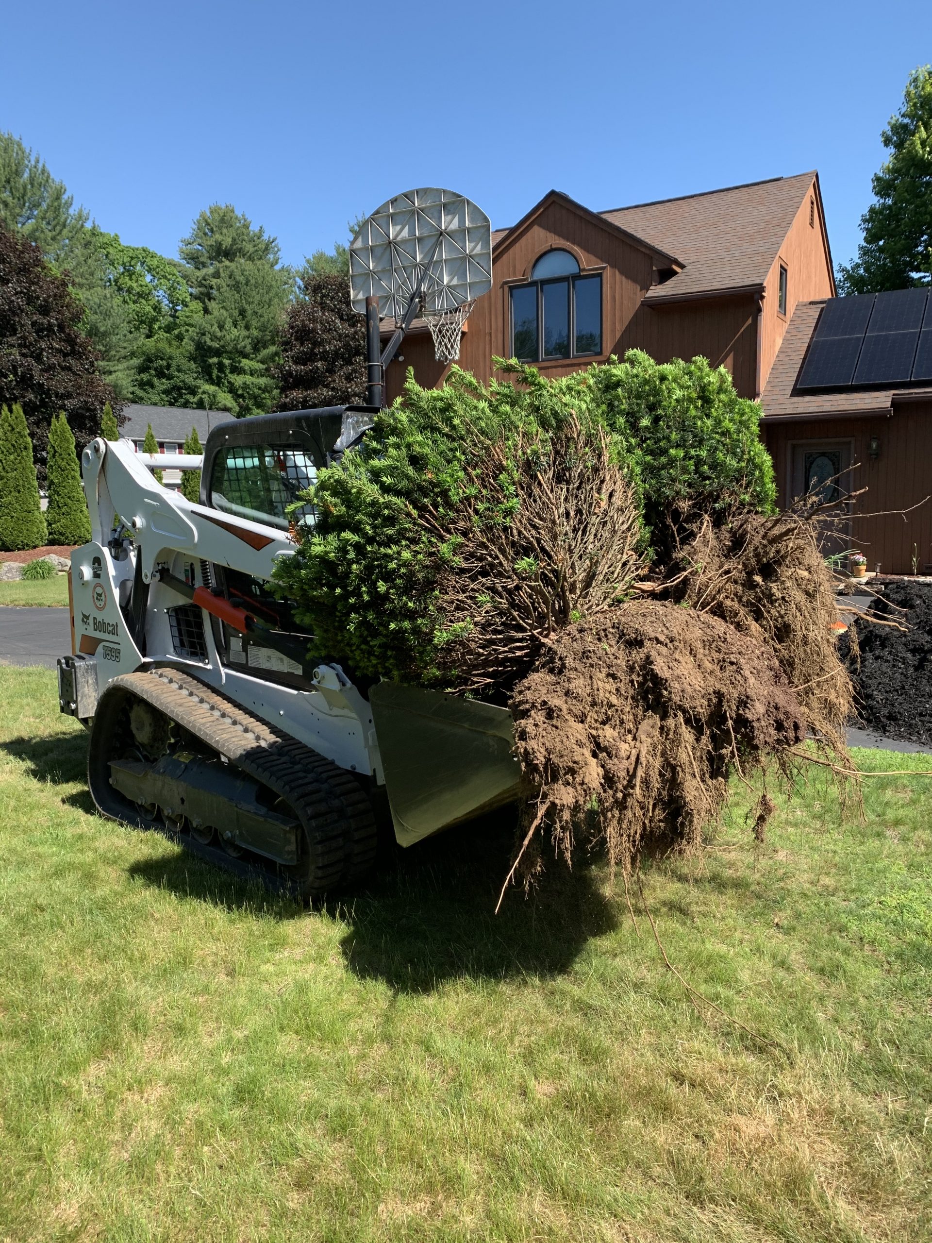 Planting & Removal Busy Bee Landscaping Amherst MA, 01002